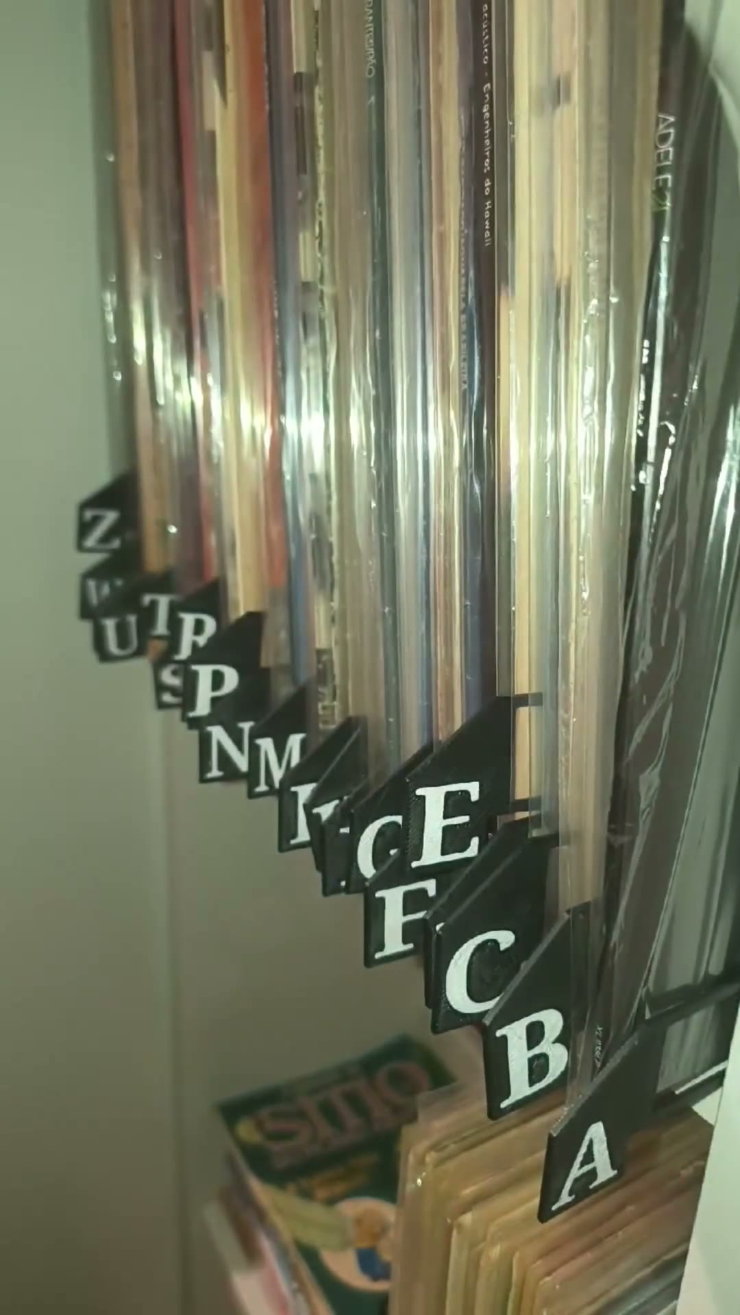 Cliente mostrando a coleção de discos organizada com as divisórias alfabéticas